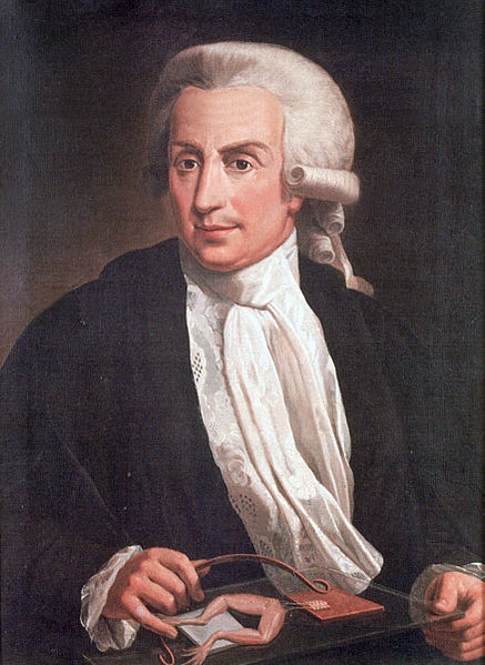 Luigi Galvani, ca. 1775, by an unknown artist, Museo Palazzo Poggi, Bologna.